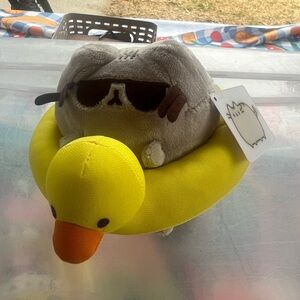 Pusheen it’s sugar exclusive